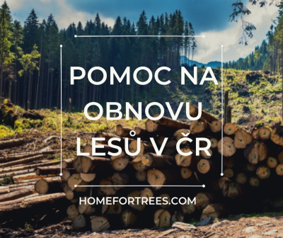 pomoc lesům